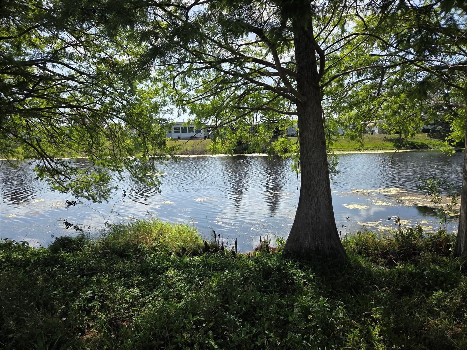 GROSSE POINTE CO-OP INC UNREC - Residential