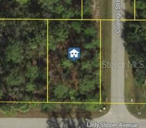 LADY SLIPPER AVENUE NORTH PORT FL 34291