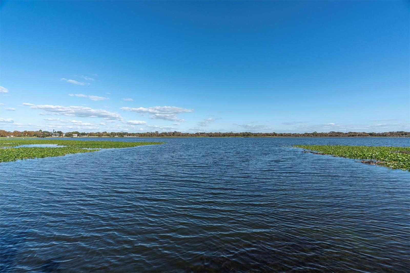 BELLA VISTA ON LAKE SEMINOLE - Residential