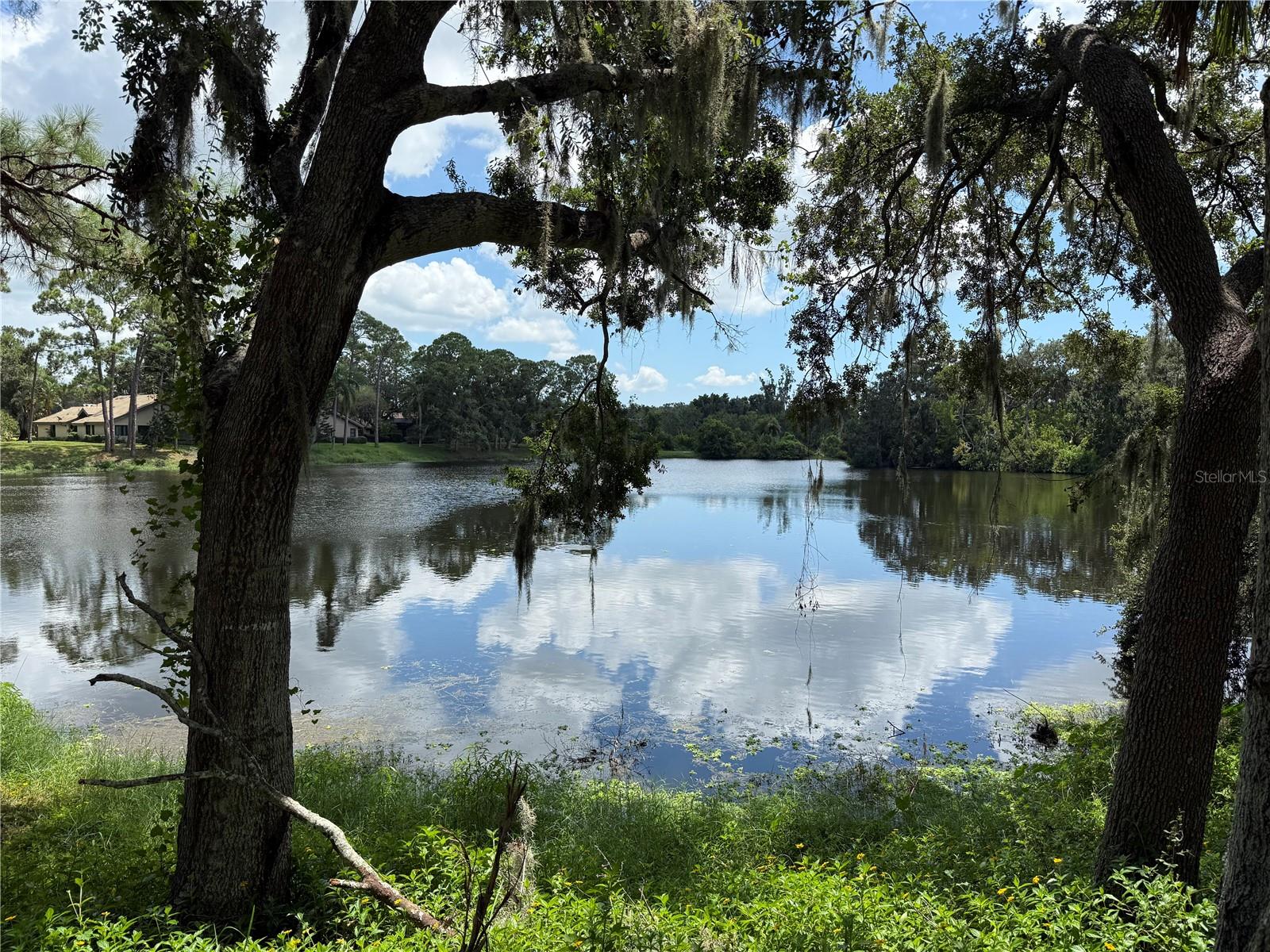 LONGWOOD VILLAS - Residential