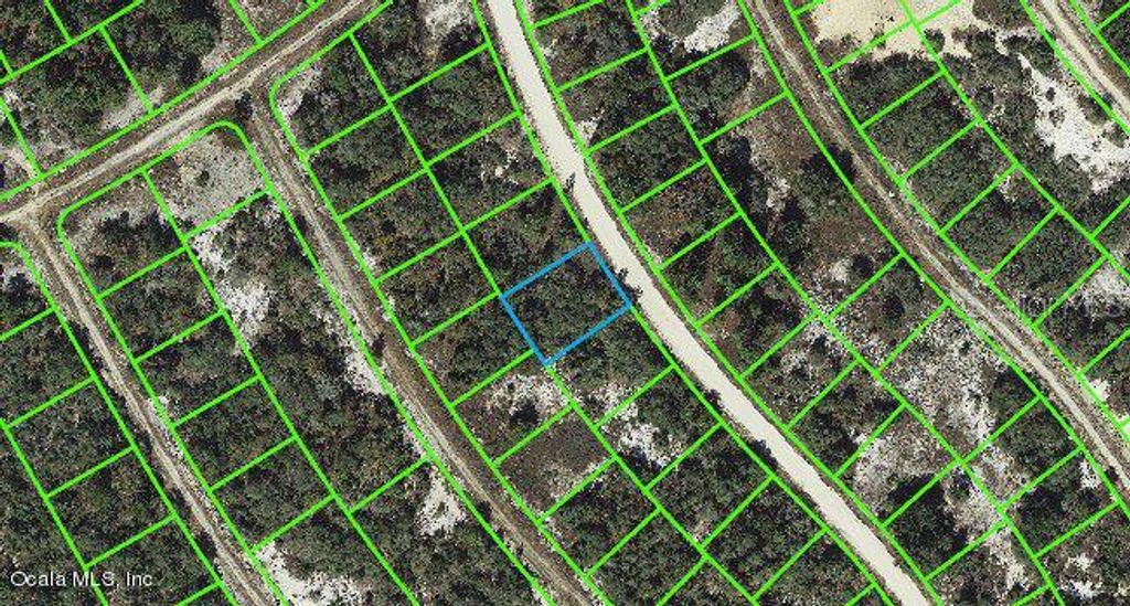 Photo of 314 Wildwood Drive, Lake Placid, FL 33852 (MLS # OM543117)
