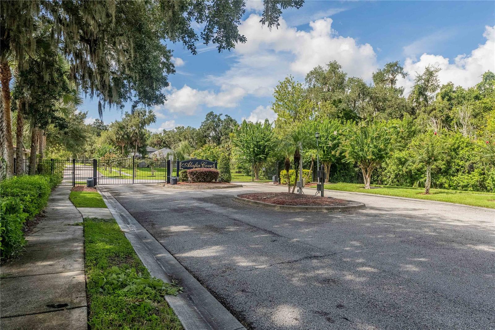 8834 ALAFIA COVE DRIVE