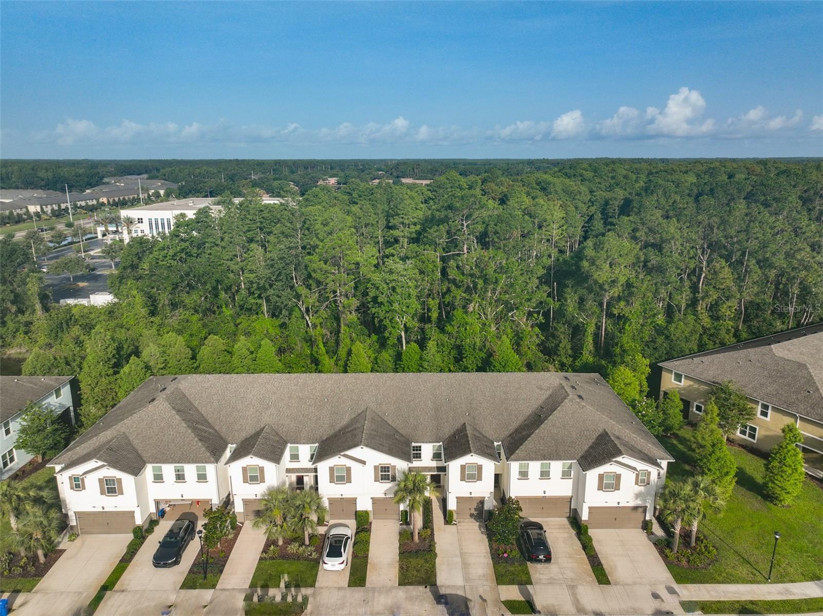 17834 ALTHEA BLUE PLACE