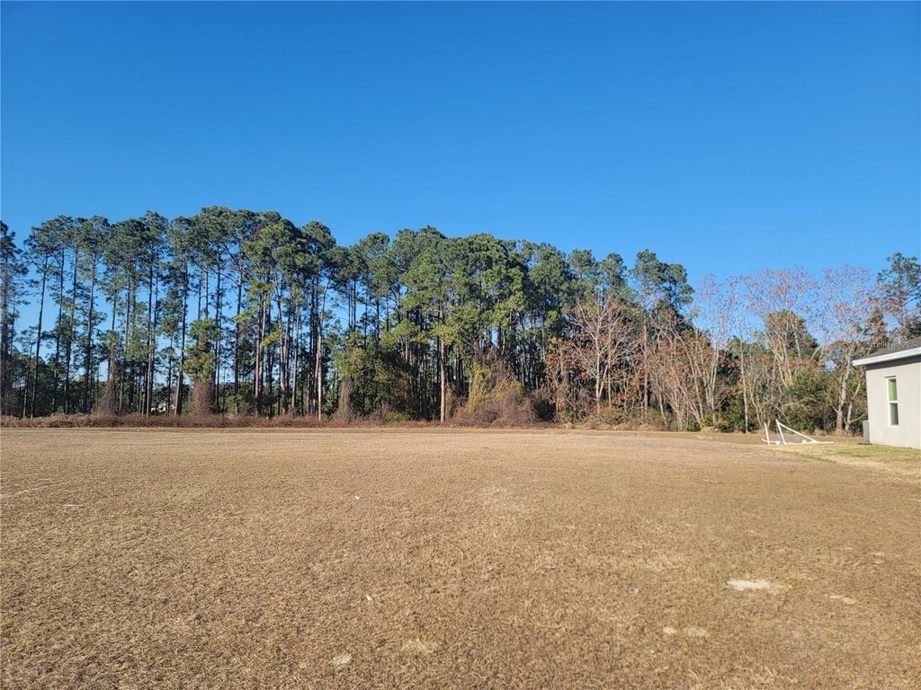 Photo of 5820 Windsong Oak Drive, Leesburg, FL 34748 (MLS # G5107960)