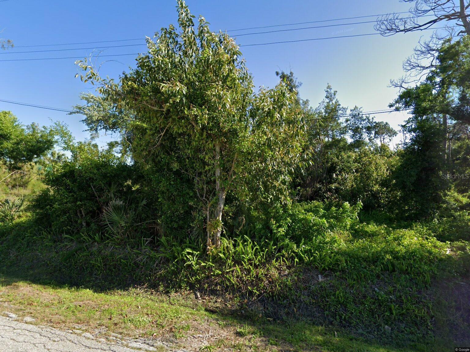 .31 acre lot