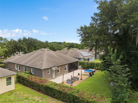 A home in MOUNT DORA