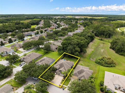 A home in MOUNT DORA