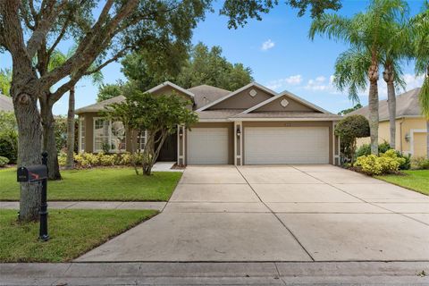 A home in MOUNT DORA