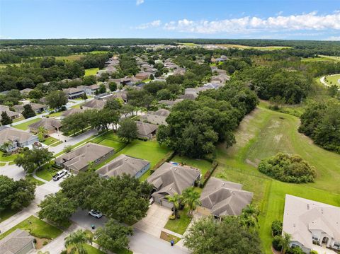 A home in MOUNT DORA