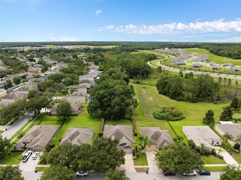 A home in MOUNT DORA