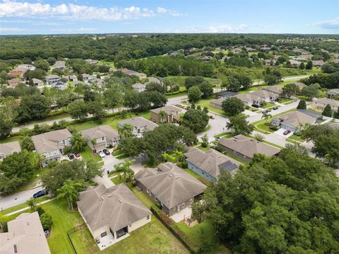 A home in MOUNT DORA