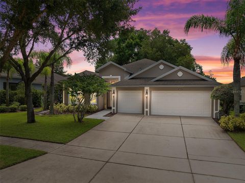 A home in MOUNT DORA