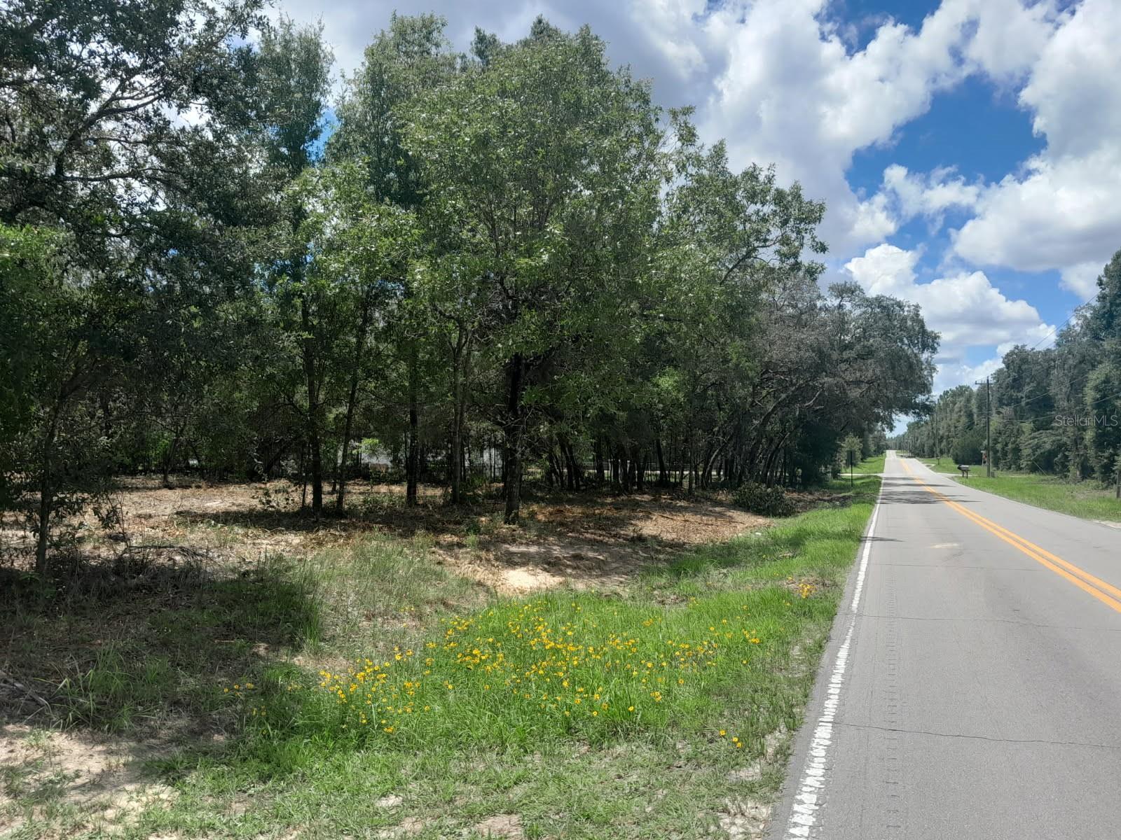 BEAUTIFUL PINES & OAKS ON A PAVED ROAD!! 1.25 Acres high and dry and no HOA. Great location for your new home, site built or manufactured homes are welcomed. Close to Bronson our County Seat, ten minutes to Williston, 20 minutes to Gainesville and 30 minutes to Ocala. Also only 30 minutes to Cedar Key for fishing, boating, restaurants, and more. This is horse country so there are several horse equestrian centers nearby, WEC, HITS, Black Prong etc. Property has already been bush hogged and you can see the boundaries and how big it is. Come out to the country and grab this beautiful lot, it won't last long! Measurements taken from Property Appraiser Site.