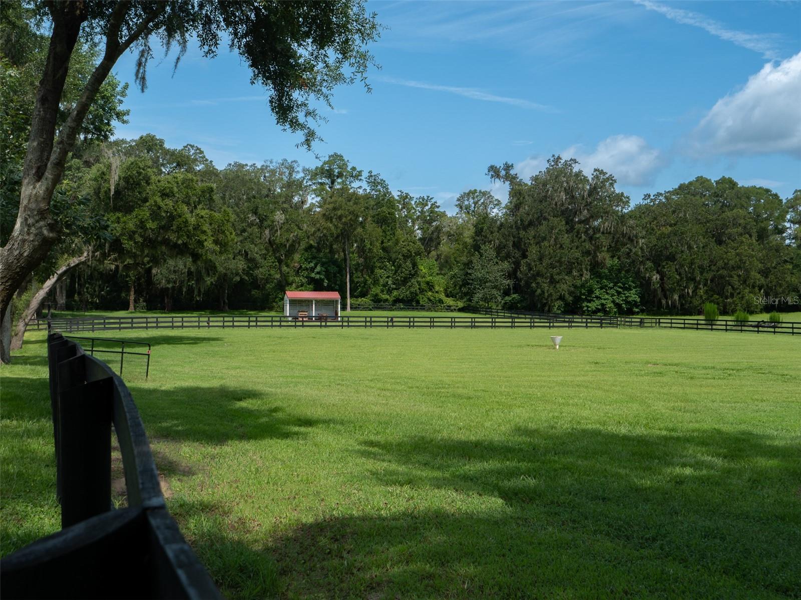 WELLINGTON OF OCALA - Farm