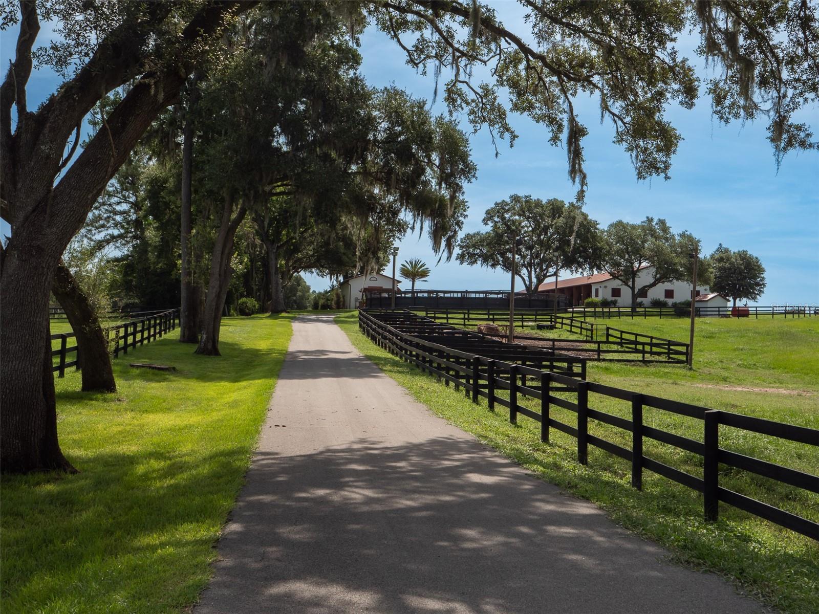 WELLINGTON OF OCALA - Farm