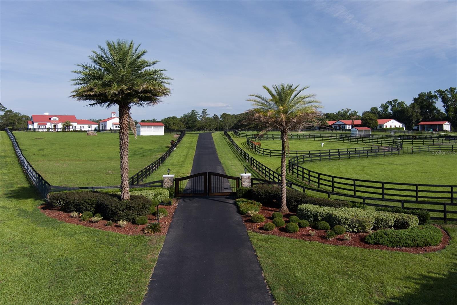 WELLINGTON OF OCALA - Farm