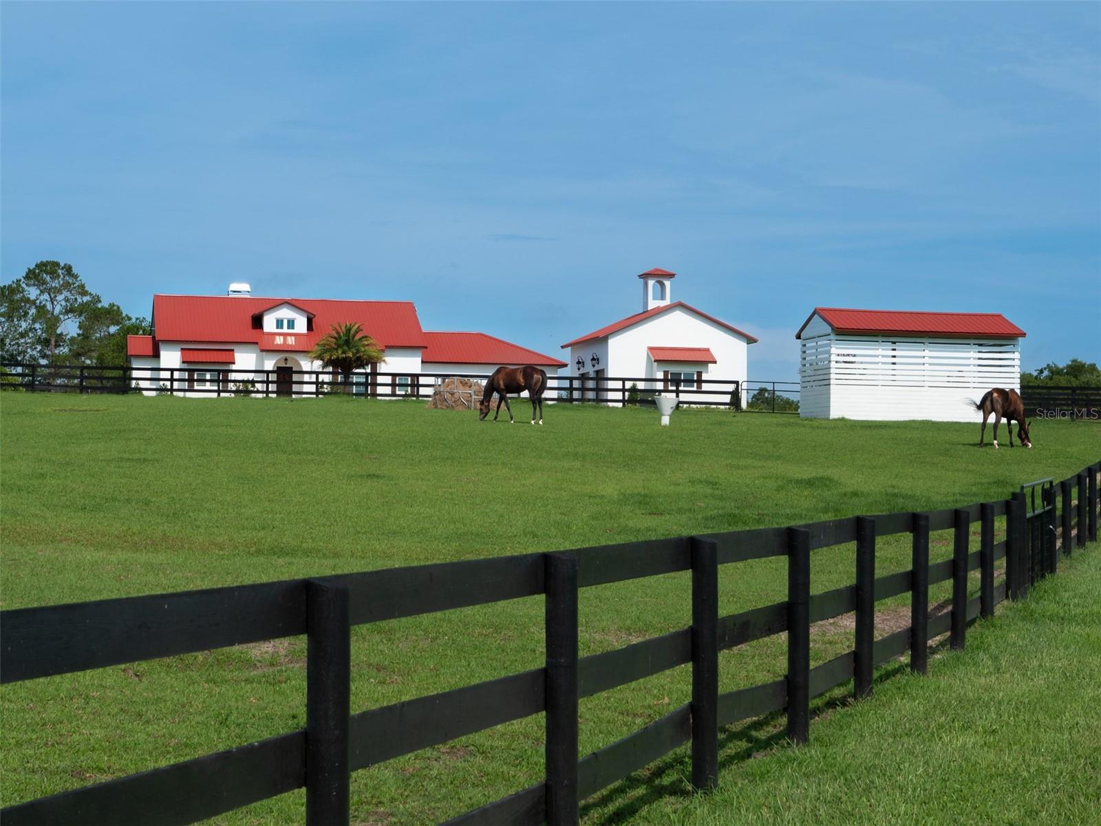 WELLINGTON OF OCALA - Farm