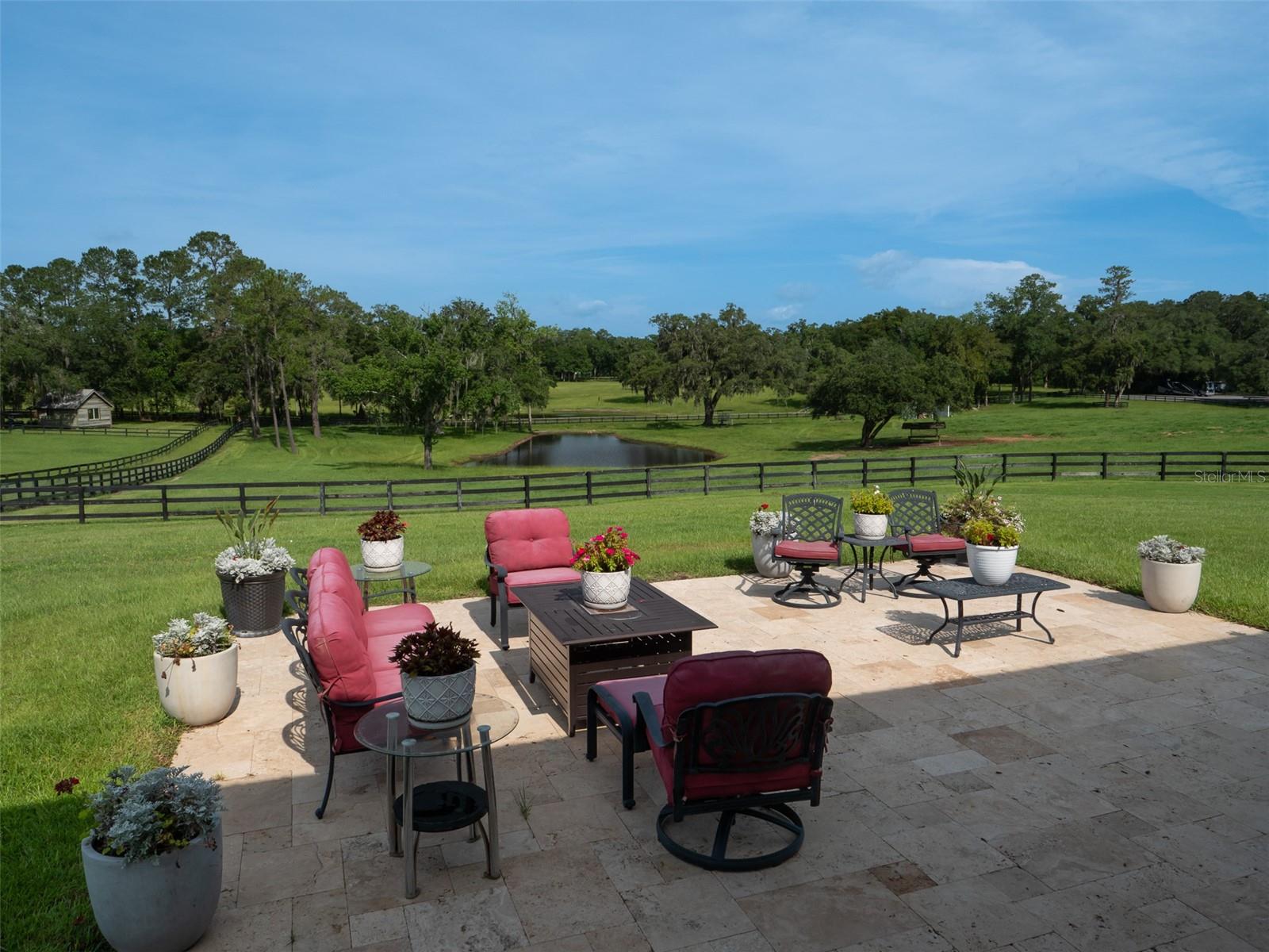 WELLINGTON OF OCALA - Farm