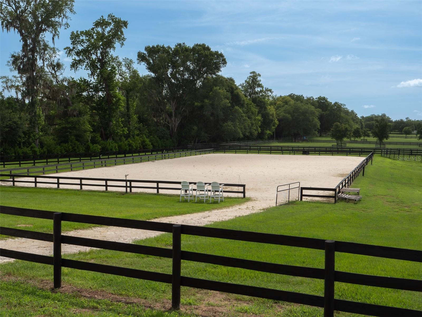 WELLINGTON OF OCALA - Farm