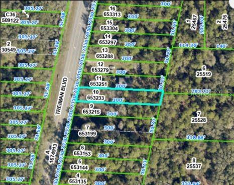 COMMERCIAL HIGHLANDS US 301 - Land