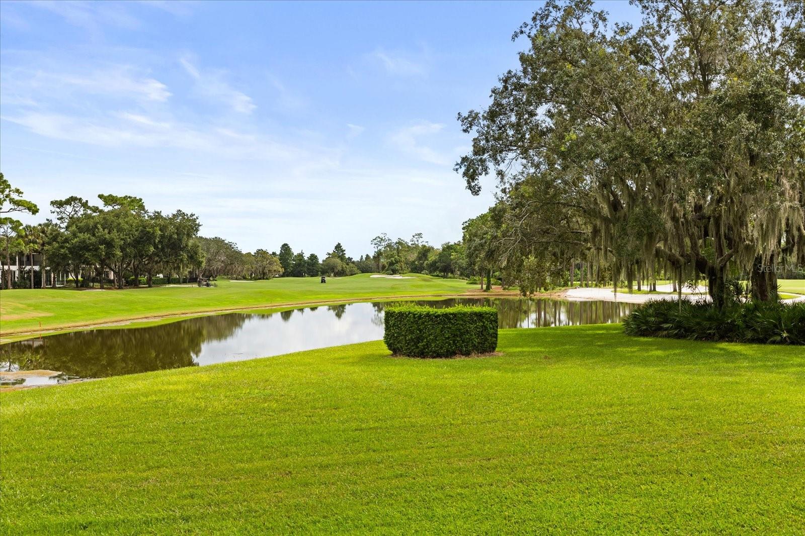 LAKE NONA ESTATES - Residential