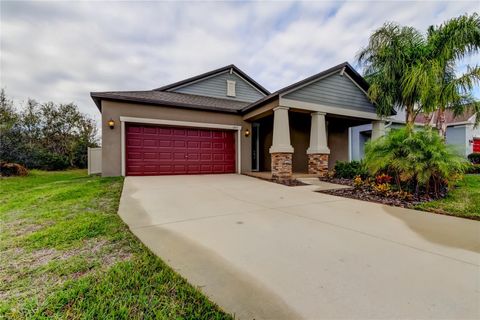 A home in RIVERVIEW