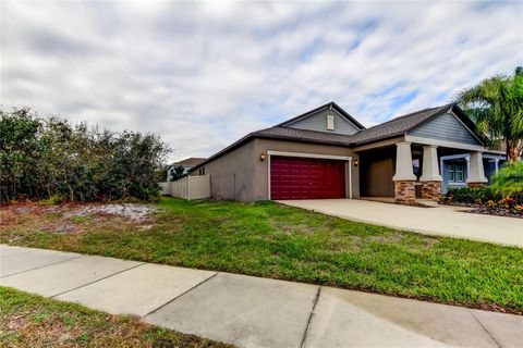 A home in RIVERVIEW