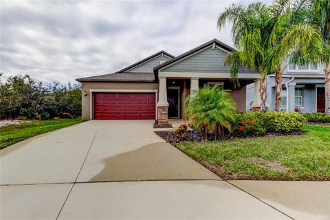 A home in RIVERVIEW