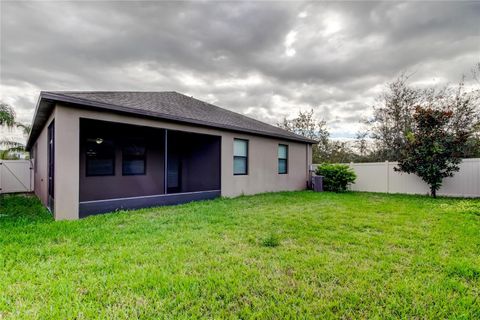 A home in RIVERVIEW