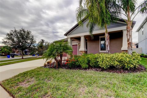 A home in RIVERVIEW