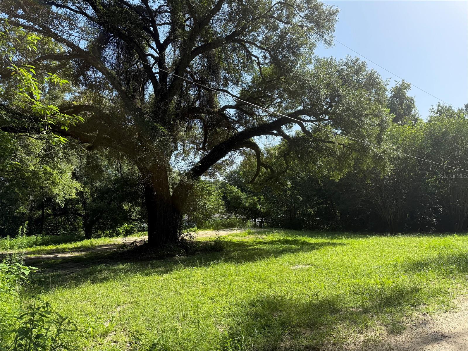Don't miss this opportunity to own in one of Ocala's most sought-after areas! OWNER FINANCING IS AVAILABLE. Build your dream home on this beautifully ready to build .46-acre lot in Rainbow Park. Located on a quiet street, with mature trees, this lot offers flexibility with no HOA and is conveniently close to shopping, dining, schools, medical centers, and the World Equestrian Center. With easy access to Hwy 40, SR-200 and I-75, commuting is a breeze, yet you'll still enjoy that rural feeling.
