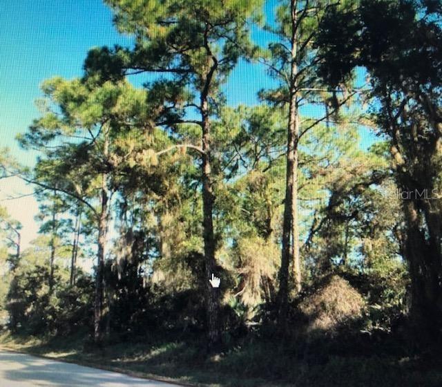 Florida Shores 01 - Land