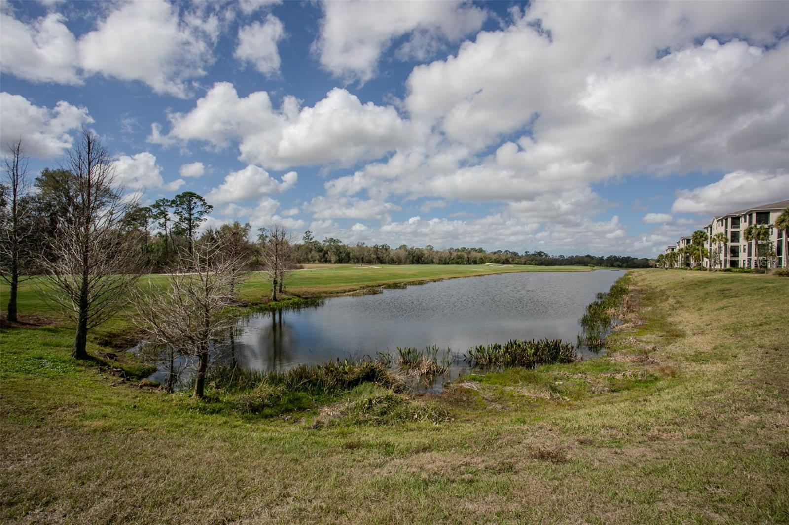 TERRACE VIII AT LAKEWOOD NATIONAL PH I - Residential