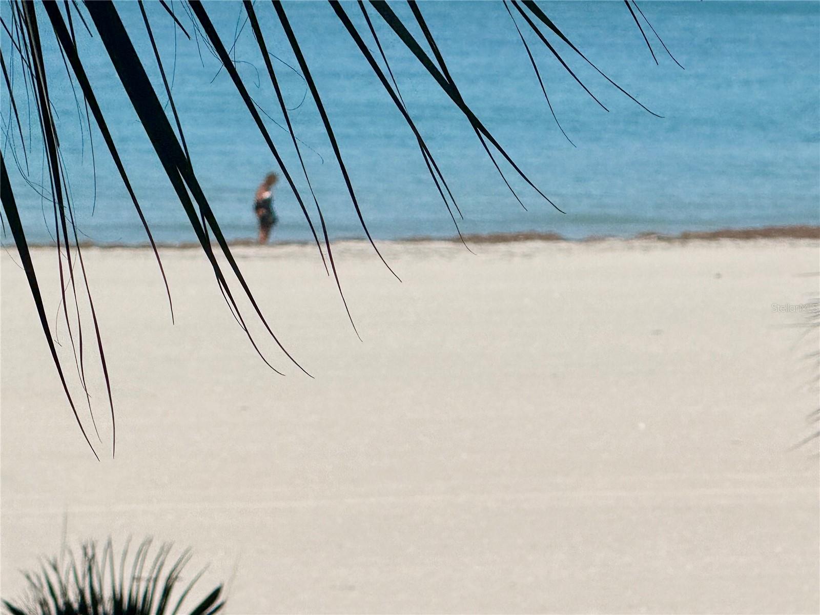 CLEARWATER SAND KEY - Residential