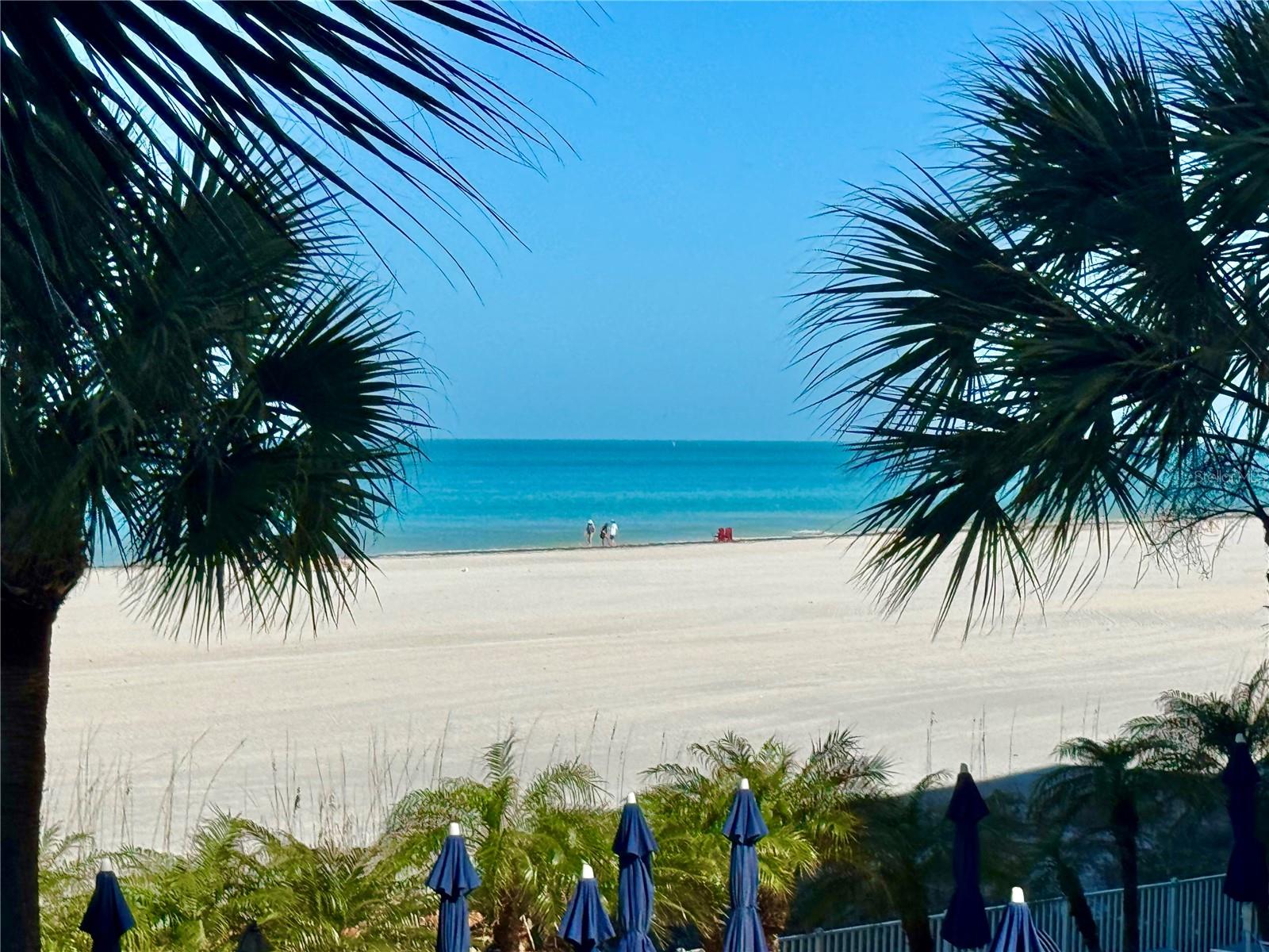 1390 GULF BOULEVARD 102