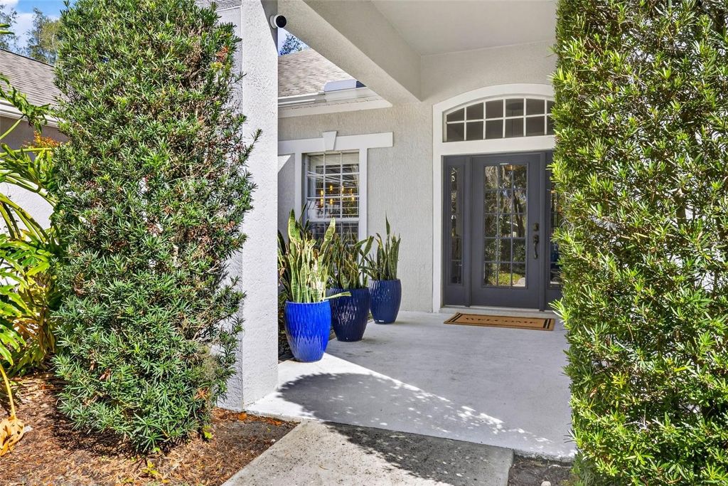 Photo of 15036 Eaglerise Drive, Lithia, FL 33547 (MLS # TB8478135)