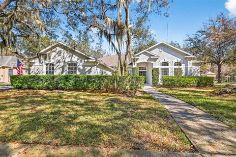 15036 EAGLERISE DRIVE LITHIA FL 33547