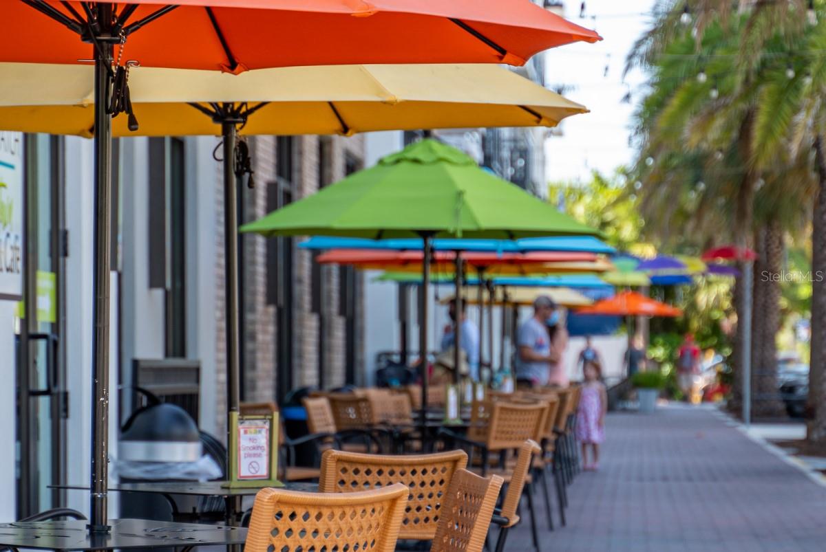 VILLAGE ON THE GREEN - Residential