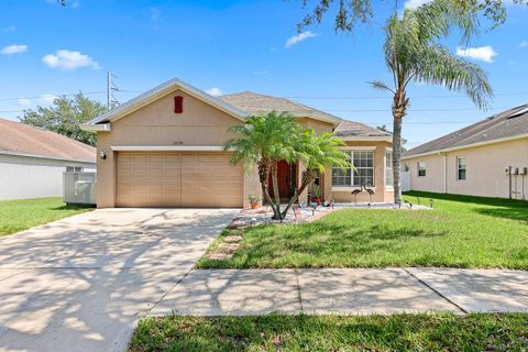 10536 SHADY PRESERVE DRIVE RIVERVIEW FL 33579