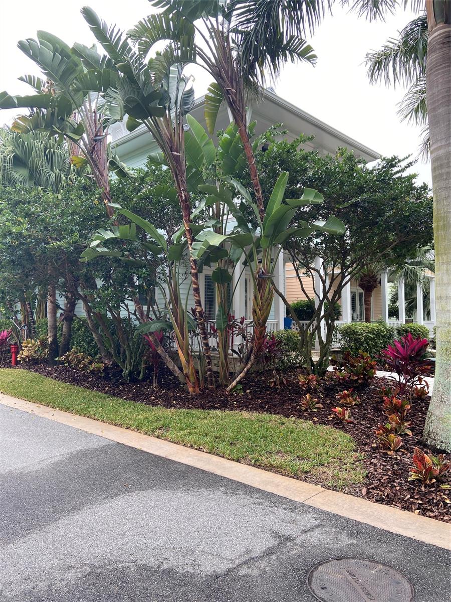 New Smyrna Beach Harbor - Residential