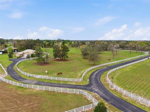 Tiny photo for 10532 SW 27th Avenue, Ocala, FL 34476 (MLS # OM717160)