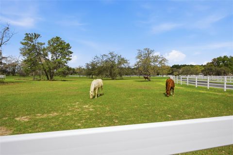 Tiny photo for 10532 SW 27th Avenue, Ocala, FL 34476 (MLS # OM717160)