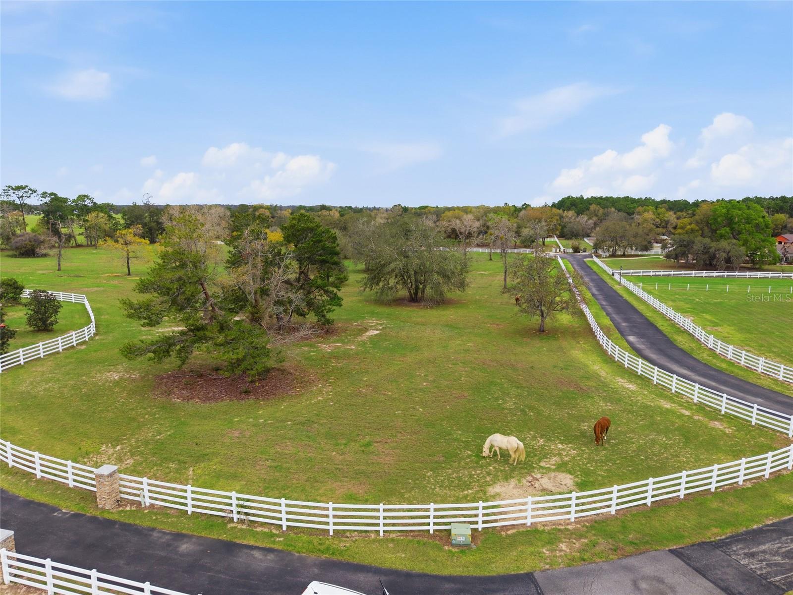 LEXINGTON DOWNS A.K.A. ROSEWOOD ESTATES - Residential