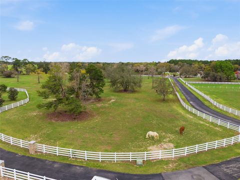 Tiny photo for 10532 SW 27th Avenue, Ocala, FL 34476 (MLS # OM717160)