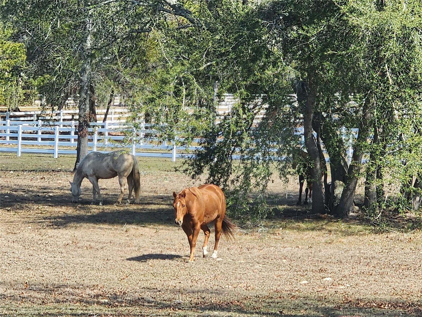 LEXINGTON DOWNS A.K.A. ROSEWOOD ESTATES - Residential