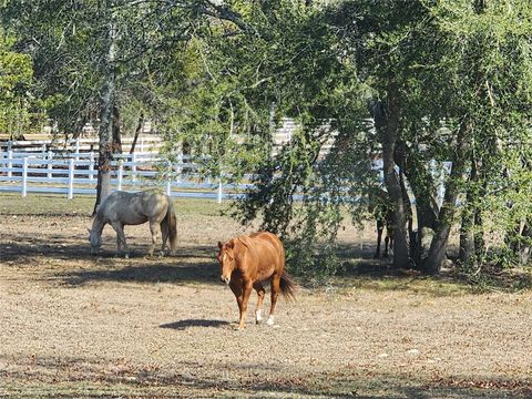 Tiny photo for 10532 SW 27th Avenue, Ocala, FL 34476 (MLS # OM717160)
