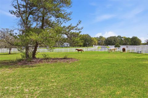 Tiny photo for 10532 SW 27th Avenue, Ocala, FL 34476 (MLS # OM717160)