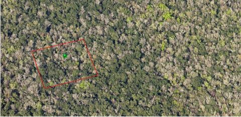 000 REED GROVE ROAD OAK HILL FL 32759