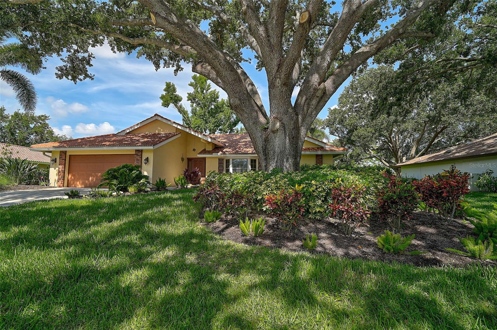1674 COTTONWOOD TRAIL