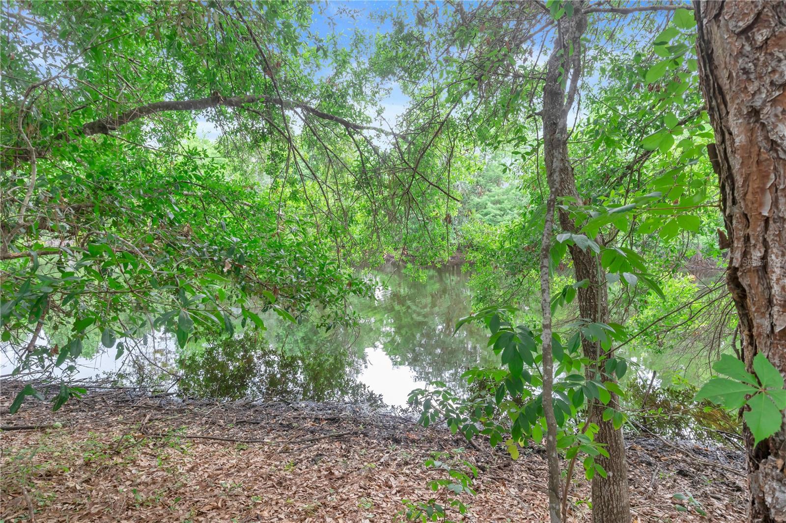 ISLES OF OVIEDO - Residential